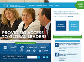 Edna Haak website design by dzine it